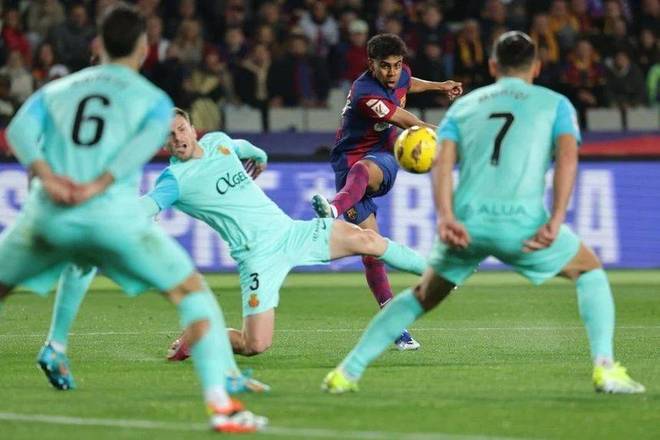 退役后务农，哈姆西克：和妻子养了29只鸡，鸡蛋多得吃不完（从球场到农场，哈姆西克退役后与妻养29只鸡，鸡蛋多到吃不完）